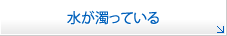 水が濁っている